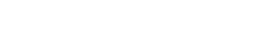 Klarna payment