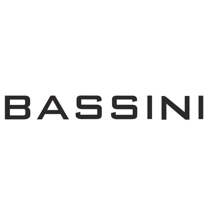 BASSINI logo